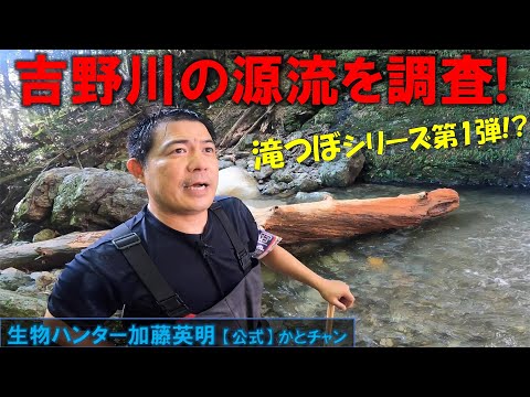 何がいる?吉野川の源流を調査!滝つぼシリーズ第1弾!?≫生物ハンター加藤英明【公式】かとチャン