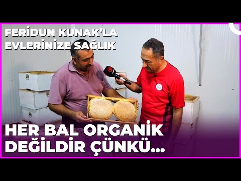 Bal Alırken Nelere Dikkat Edilmeli? | Dr. Feridun Kunak’la Evlerinize Sağlık