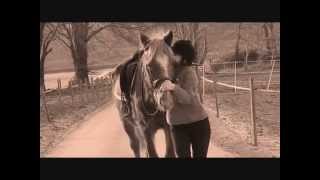 Hors Wwwx Video - A Girl And Her Horse x - YouTube