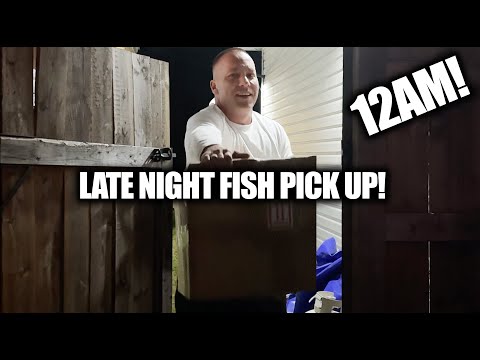 Going to the airport to pick up LIVE FISH with The Stay connected on my other socials_
Instagram_ https_//www.instagram.com/tamaramariemullen/
TikTok_ 