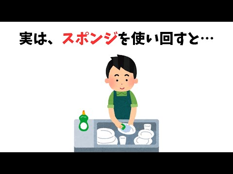 【9割が知らない雑学】実は、スポンジを使いまわして洗い物すると