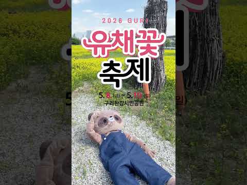 🌼지치고 힘든 뽀구리의 낙원🌼 #소문의낙원 #구리유채꽃축제