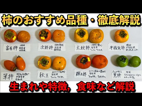 【買う前にみて！】柿のおすすめの品種の徹底解説！生まれや特徴，食味のレビューなど色々と