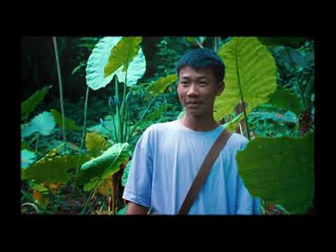 Samsara'