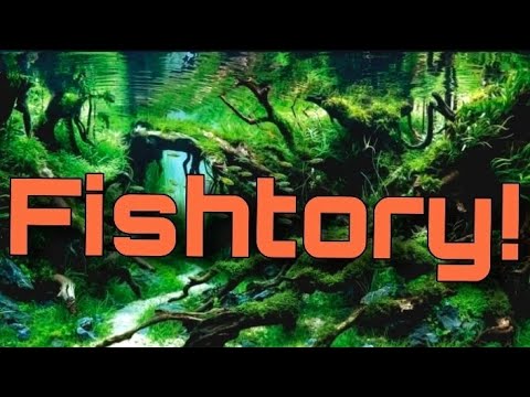 Friday Night LIVE With Arseneo Haul! - RESOURCES f Join us on Fishtory!  Discord
https_//discord.gg/fTB6FHKHPf

The BRAND NEW FISHTORY DISCORD_
All my 