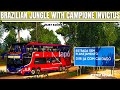 Campione Invictus DD - Scania 6x2 / 8x2 ETS2 1.41