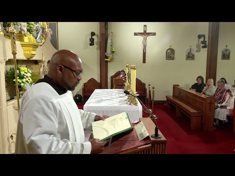 Lecturas y homilía - 2025-11-01 - P. Mark