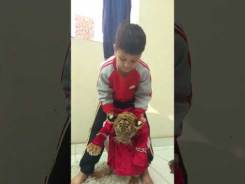 New song 🥰😜 Dilber ki ankho ka #reels #tiger #shorts