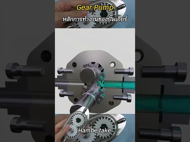 หลักการทำงานของปั๊มเกียร์ Gear Pump #shorts
