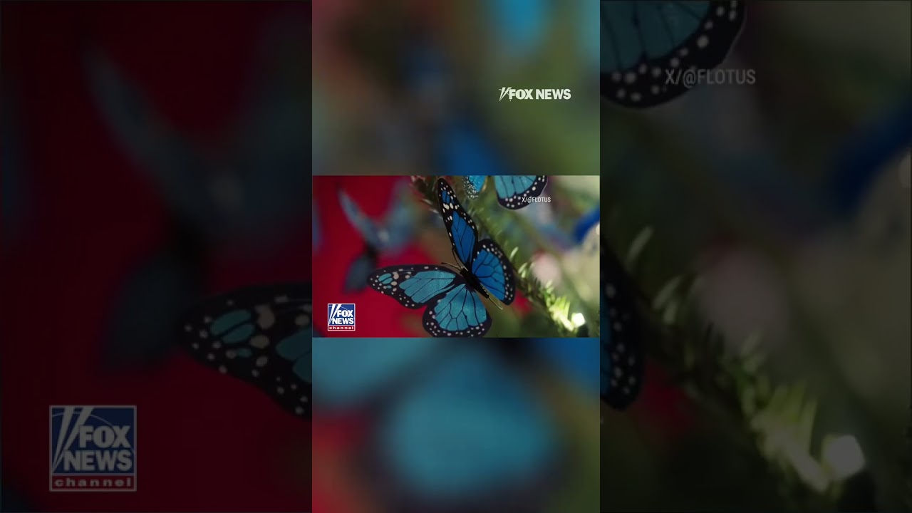 HOME FOR THE HOLIDAYS: First Lady Melania Trump showcases White House Christmas theme #shorts #trump