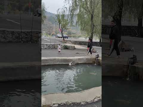 四岁萌娃钓大鱼原声视频来啦,妈妈爸爸喊出了鹅叫🐟🐟🐟🤭🤭🤭#真实生活分享计划 #钓鱼 #钓鱼人 #钓鱼技巧 #funny