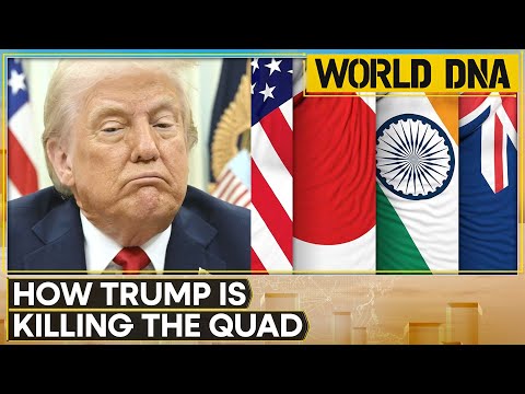 QUAD Shock: Summit Stalled Over Trade Crisis? | Tariff War Frays Strategic Bond | WION World DNA