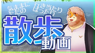 【実写動画】気ままに散歩したら絶景に出会えました【Vtuber｜花鎧照虎】