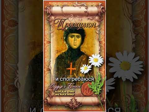 8 июля Прмч. Феврония дева (ок.304г)