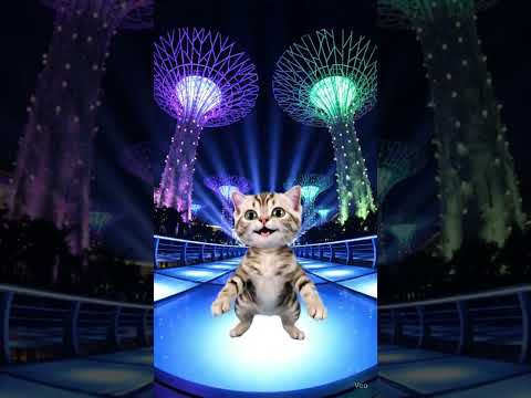 Adorable Singapura Kitten Dances at Gardens by the Bay! 🐱💃🌸 #cat #prompt #animaldance #veo3