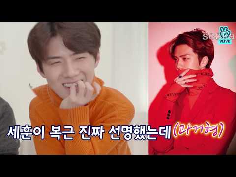 세훈 막내 모먼트