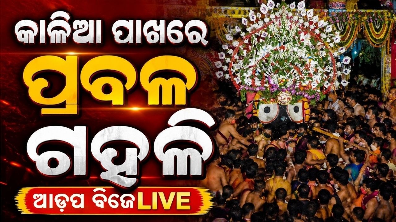 🔴Live | କାଳିଆ ପାଖରେ ପ୍ରବଳ ଗହଳି | Adapa Mandap Bije | Rath Yatra 2026 | Jay Jagannath | Argus News