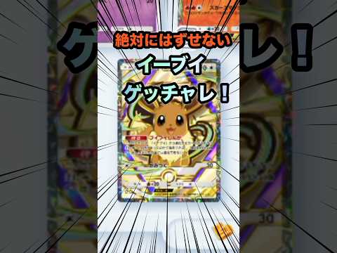 【ポケポケ】イーブイゲッチャレ!動かないと予想した結果…