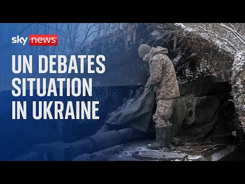 Watch live: United Nations General Assembly debates situation in Ukraine