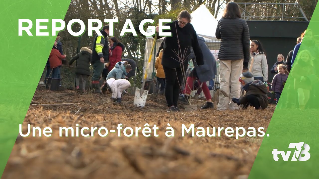 Une première micro-forêt voit le jour à Maurepas