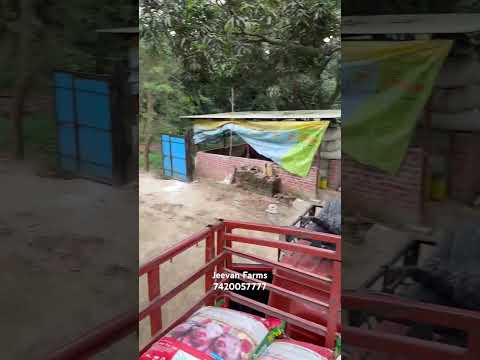 Jeevan Farms feed