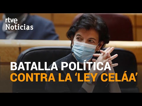 El CASTELLANO puede dejar de ser lengua vehicular con la NUEVA LEY DE EDUCACIÓN | RTVE