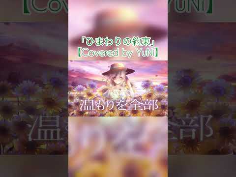 ひまわりの約束／秦 基博【Covered by YuNi】