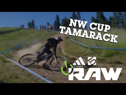 VITAL RAW – NW Cup Tamarack