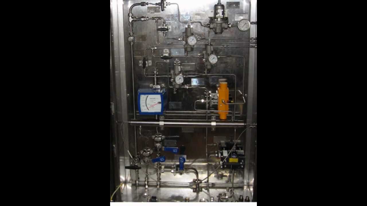 SAMPLE BAGGI SensEvolution - YouTube