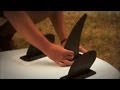 video: Quick Tips | How to Install SUP Fins 