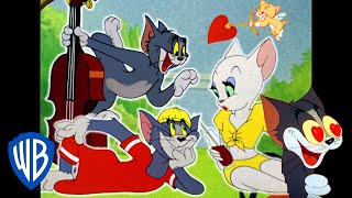Tom a Jerry - Tomova serenáda