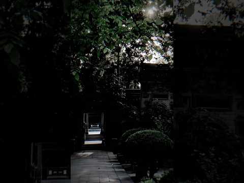 Em cố trăm lầm chẳng bằng ai đó 1 lần .... #xuhuongyoutube #remix #music #shosrts