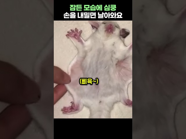 잠든 모습에 심쿵!