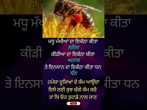 ਜਿੰਦਗੀ ਖੁੱਲ ਕੇ ਜੀਉ#shorts #motivation #quotes