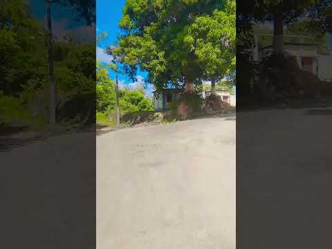 #nature #highlights #viralvideo #love #youtubeshorts