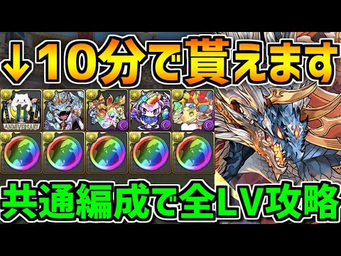 10分で魔法石&黒メダル&豪華報酬ゲット！このイベントはやらないと損！虹メダルチャレンジ共通編成！【パズドラ】