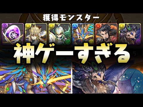 【コンテしろ】探索ダンジョンが神イベントすぎる件【パズドラ】