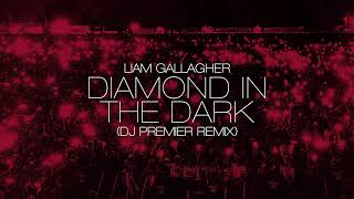 Diamond In The Dark (DJ Premier Remix)