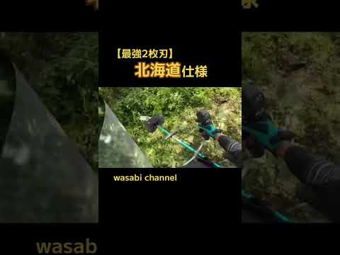 【最強の二枚刃!】北海道向けイグサ刃でジャングルを開拓する!【ツムラ】 #草刈り #現代農業 #マキタ沼 #農業 #マキタ #ドローン #drone #makita