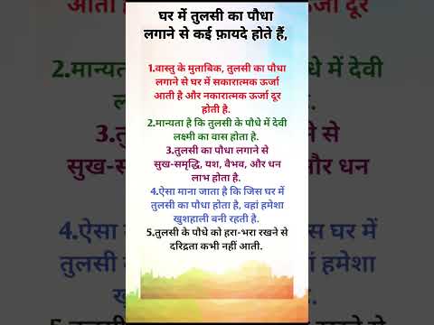घर में तुलसी का पौधा लगाने के फायदे #ytshorts #peace #motivation #astrology #viral #shorts