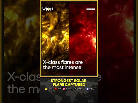 NASA captures stunning X9-class solar flare, strongest of this cycle | WION Shorts