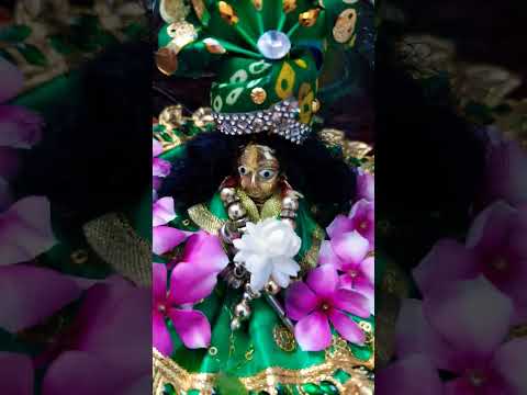 राधा राधा बोलो 💚🙏 जो चाहोगे वो मिल जायेगा #motivation #motivational #ytshorts #radheradhenaam