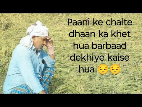 DHAAN ME HUA KAAFI NUKSHAAN #trending