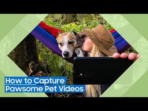 Master It: How to Capture Pawsome Pet Videos | Samsung