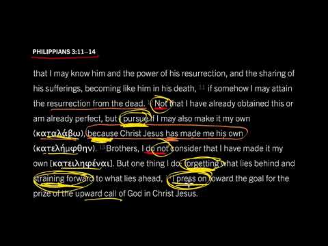 Philippians 3:11–14 // The One Reason to Live