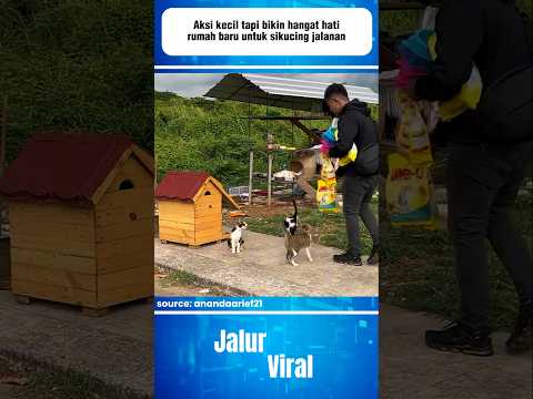 aksi kecil tapi bikin hangat hati rumah baru untuk sikucing jalanan#shorts