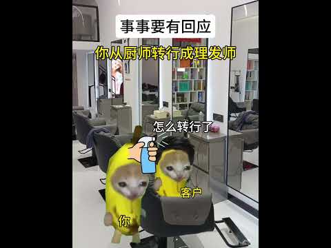 猫の動画サムネイル - 事事要有回应#有趣 #猫meme #猫meme剧场 #内容过于真实  #故事 #貓 #猫猫meme小剧场 #喵不可言