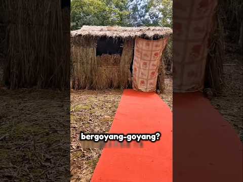 Cinta yang Dikurung oleh Perbatasan #shorts #viral