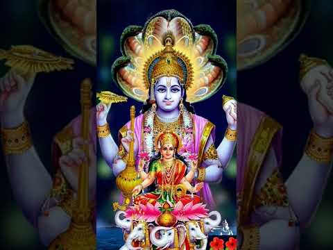 जय मां लक्ष्मी 🙏🙏♥️♥️#viralvideo