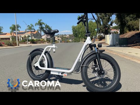 CAROMA P3 | Parameters Overview